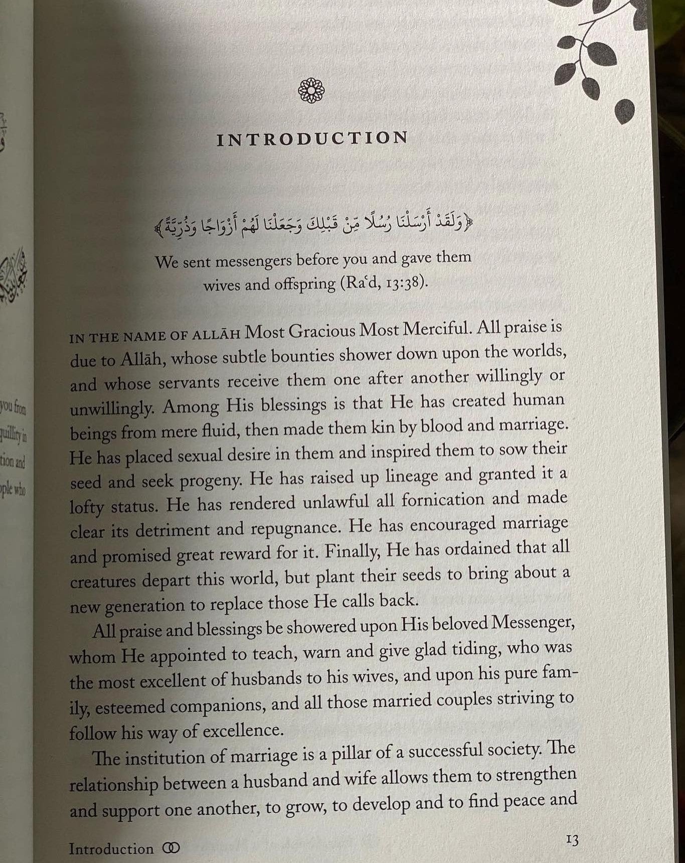 Healthy Muslim Marriage (Unlocking the Secrets to Ultimate Bliss)