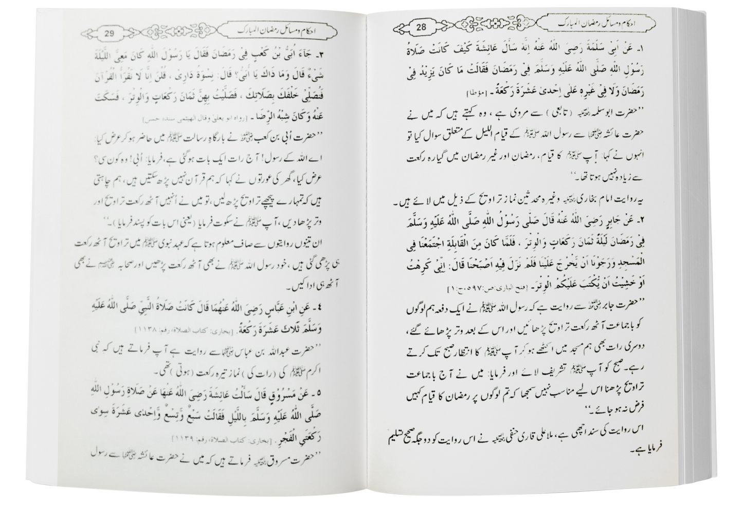 Ramzan Kaisy Guzarain? (Large)