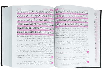 Asan Tarjuma Quran (Dr Israr Ahmed)