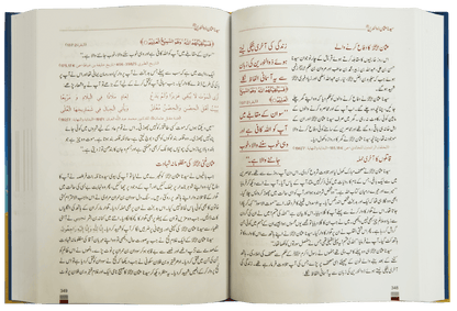 Encyclopedia Seerat Sahaba Karam (Volume # 1)