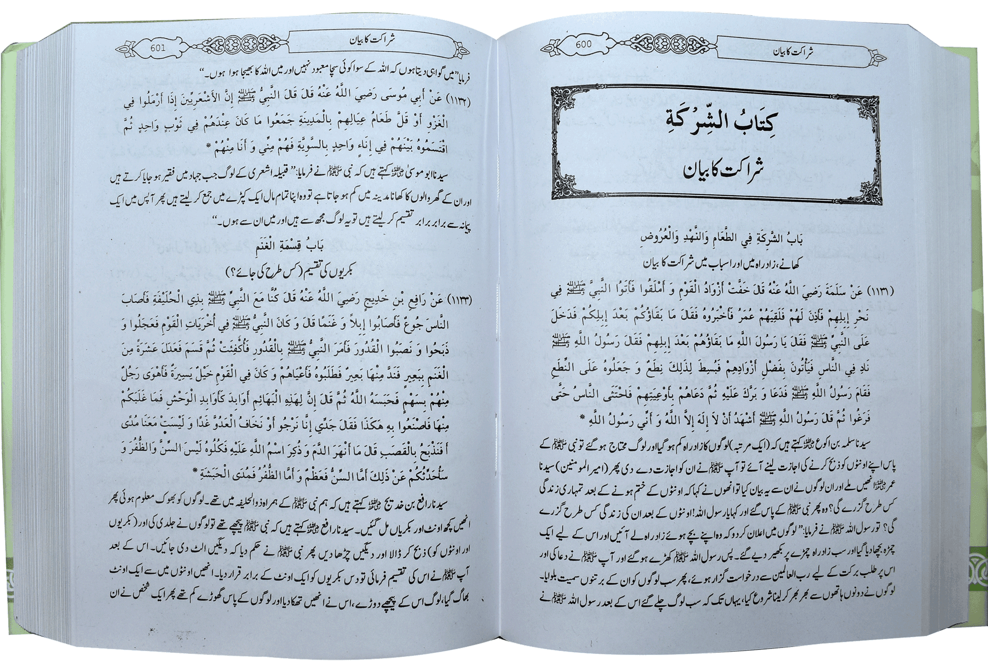 Mukhtasar Sahih Bukhari (Large) - Dar Ul Andlus