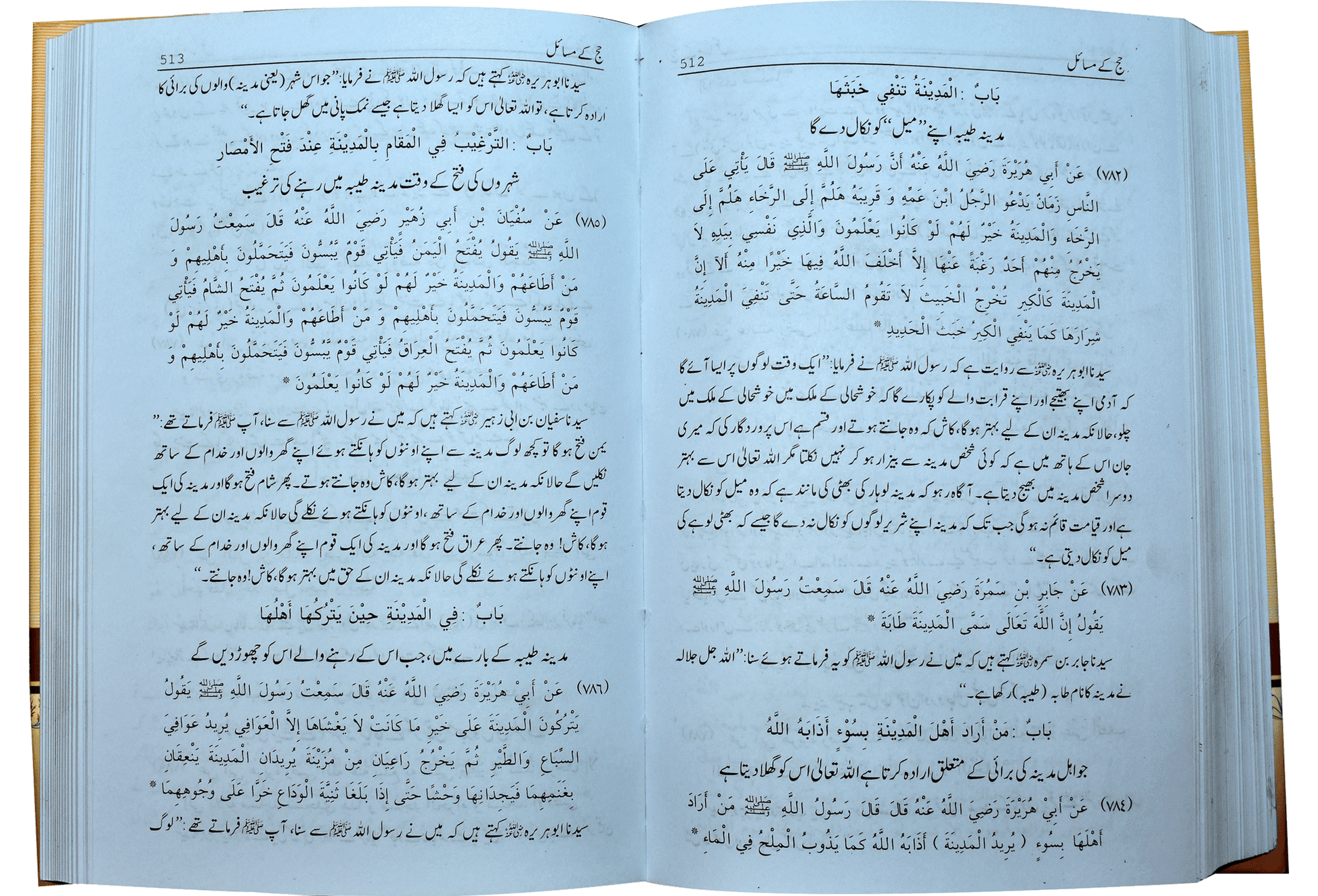 Mukhtasar Sahih Muslim (2 volumes set) - Dar Ul Andlus