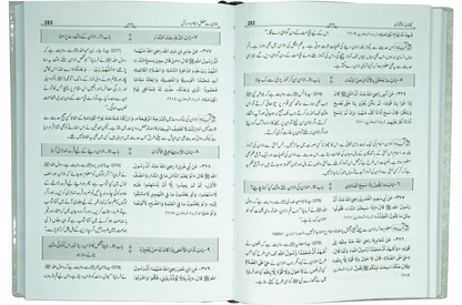 Mukhtasir Sahih Al-Bukhari (2 volume Set)