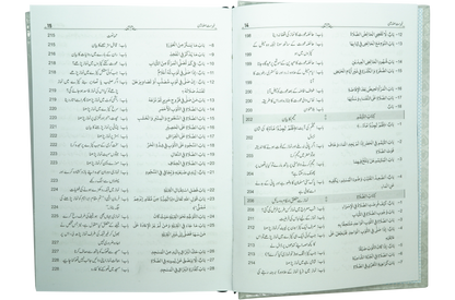 Mukhtasir Sahih Al-Bukhari (2 volume Set)