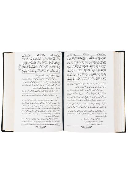 Tafheem ul Quran (Deluxe Edition)